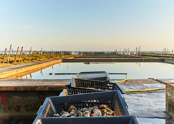 Location Appart. Renove Face - 6 Pers. - Fr-1-323-588 * 생장드몽