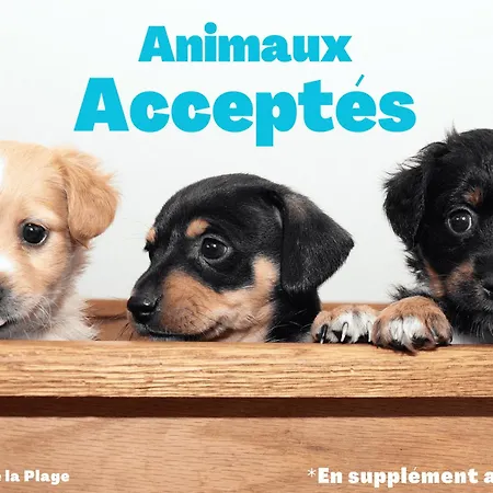 Location Appart. Rénové Face - 6 Pers. - Fr-1-323-588 Apartmán *