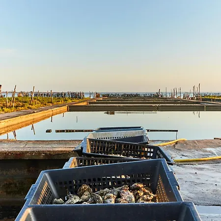 Location Appart. Renove Face - 6 Pers. - Fr-1-323-588 * Saint-Jean-de-Monts