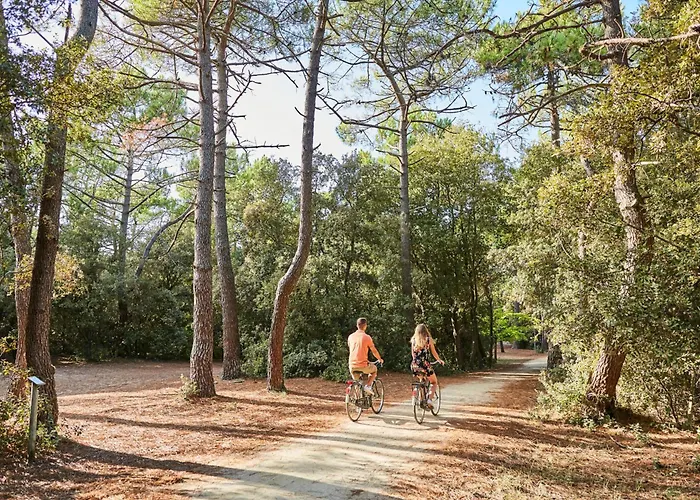 Location Appart. Renove Face - 6 Pers. - Fr-1-323-588